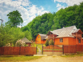 Cottage v Gorakh